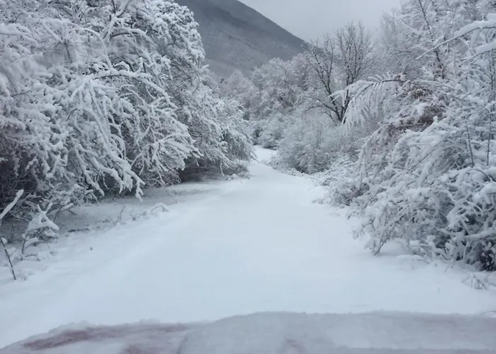 Chaletu бяла река Bŭnzarito